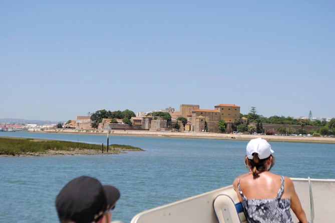 2-hour Bird Watching Guided Boat Trip in Ria Formosa from Faro Algarve - A comfortable pontoon ride through the wetlands