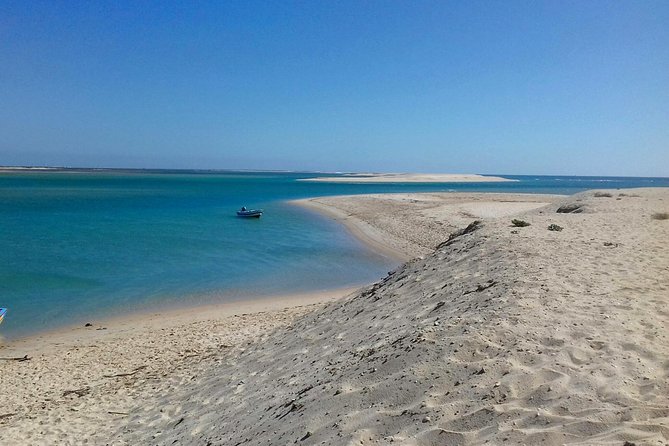 2-hour Bird Watching Guided Boat Trip in Ria Formosa from Faro Algarve - Barrinha Beach and the 20-minute pause