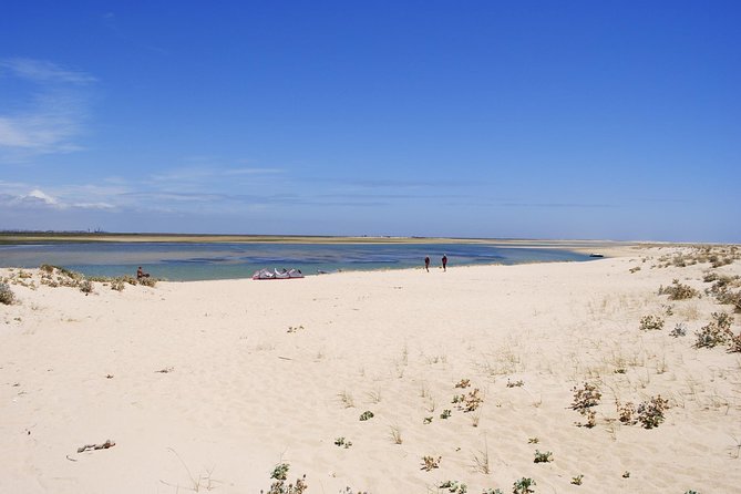 2-hour Bird Watching Guided Boat Trip in Ria Formosa from Faro Algarve - What $48.27 buys you