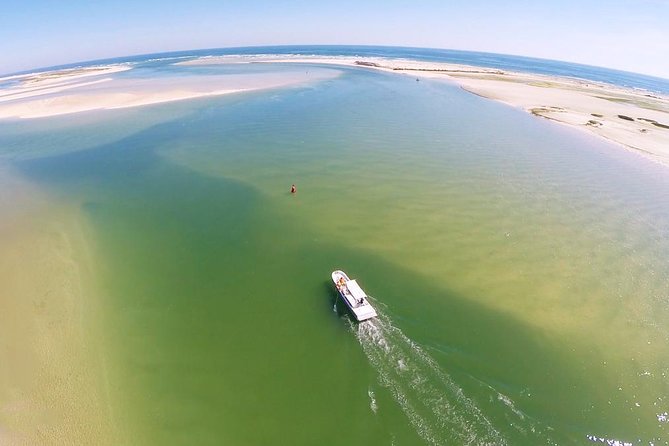 2 Hours Boat Tour in Ria Formosa - A short introduction to the Ria Formosa