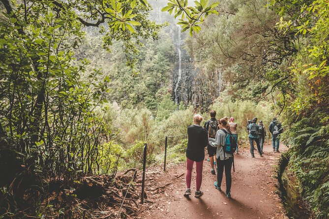 25 Fountains Levada: Hiking Tour in Madeira Rabaçal Valley (PR6) - Waterfalls, levadas, and the crowded 25 Fountains