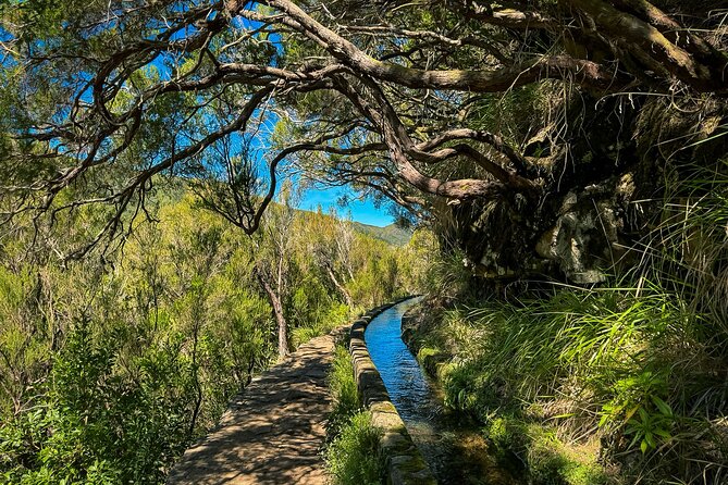 25 Fountains Levada: Hiking Tour in Madeira Rabaçal Valley (PR6) - Steps, slippery ground, and high edges