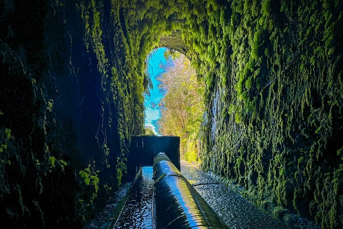 25 Fountains Levada: Hiking Tour in Madeira Rabaçal Valley (PR6) - Is $52.87 good value?
