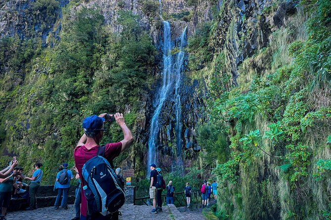 25 Fountains Levada: Hiking Tour in Madeira Rabaçal Valley (PR6) - Entering the Laurissilva forest