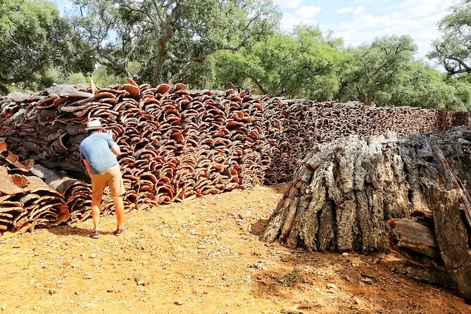 2hr Walk in a Cork Forest - Why cork is worth a morning in the Alentejo