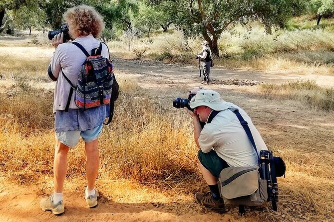 2hr Walk in a Cork Forest - Cork, wine, pork, and honey in one farm story