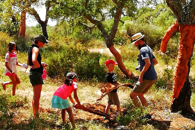 2hr Walk in a Cork Forest - Meeting at Redondo and reaching the farm