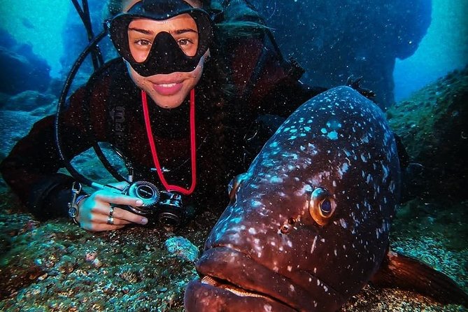 3 days Open Water Course | Scuba Diving - First comes theory, then the pool
