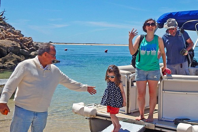 3-Hour Boat Tour in Ria Formosa on Olhão Algarve - Ilha do Farol and the southern lighthouse