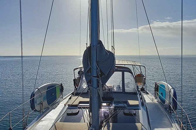 3 Hour Boat Trip to Ponta da Piedade - Key points to know before booking