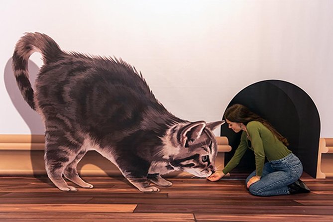 3D Fun Art Museum Funchal - What the 3D Fun Art Museum Actually Is