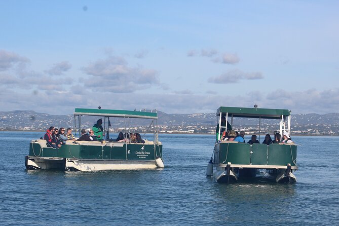 4 Stops | 3 Islands & Ria Formosa Natural Park - From Faro - Morning or afternoon: choosing the right departure