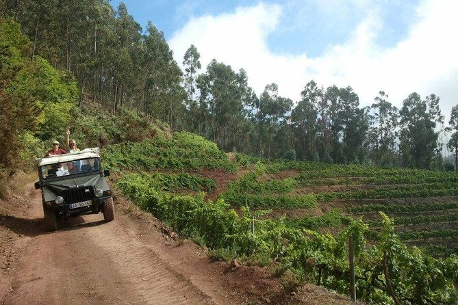 4x4 Safari Half day Poncha, Mountains, Vineyards and Cabo Girão Small group - Starting in Câmara de Lobos