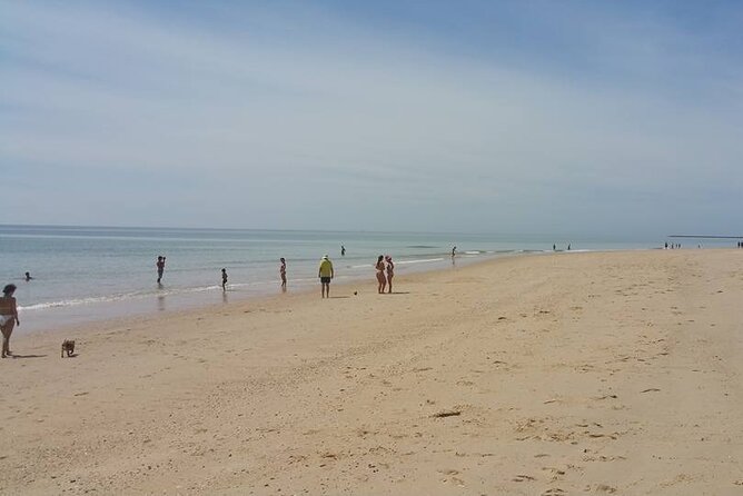 5-hour tour with 3 stops around the islands and beaches of Ria Formosa - Who will enjoy this tour most?