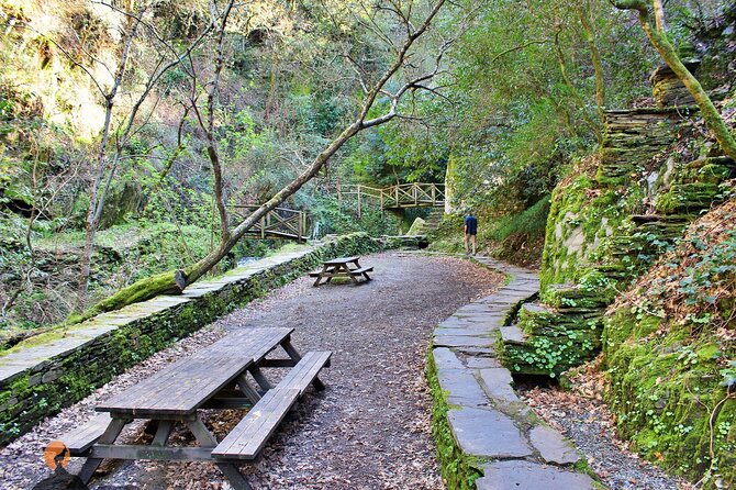 A tour between Cascades and Schist Villages, Piodão - What Sérgio adds to the experience