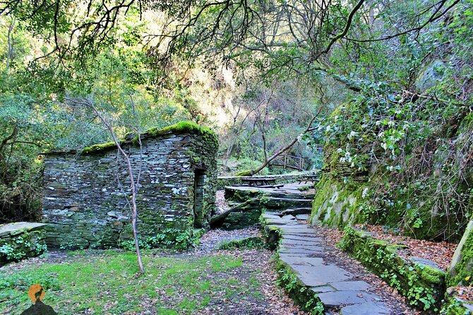 A tour between Cascades and Schist Villages, Piodão - Timing, walking, and who should book