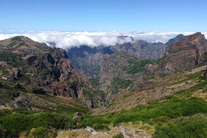 Achadas Teixeira- Pico Ruivo -& Pico pedras/Queimadas forest walk - What the fire-related closure means for your decision