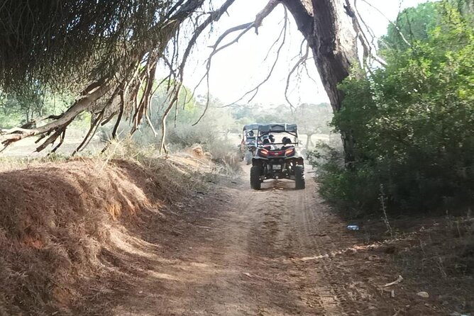 Albufeira 1.5 hour Off-Road Tour Buggy Adventure Tour - The return route and the 90-minute timing