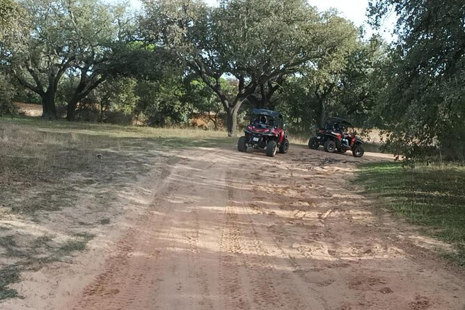 Albufeira 1.5 hour Off-Road Tour Buggy Adventure Tour - What the $59.74 price really gets you