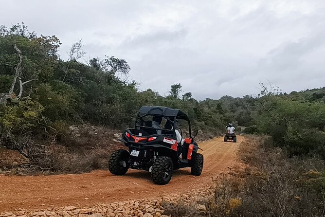 Albufeira 1.5 hour Off-Road Tour Buggy Adventure Tour - Practical advice before you leave