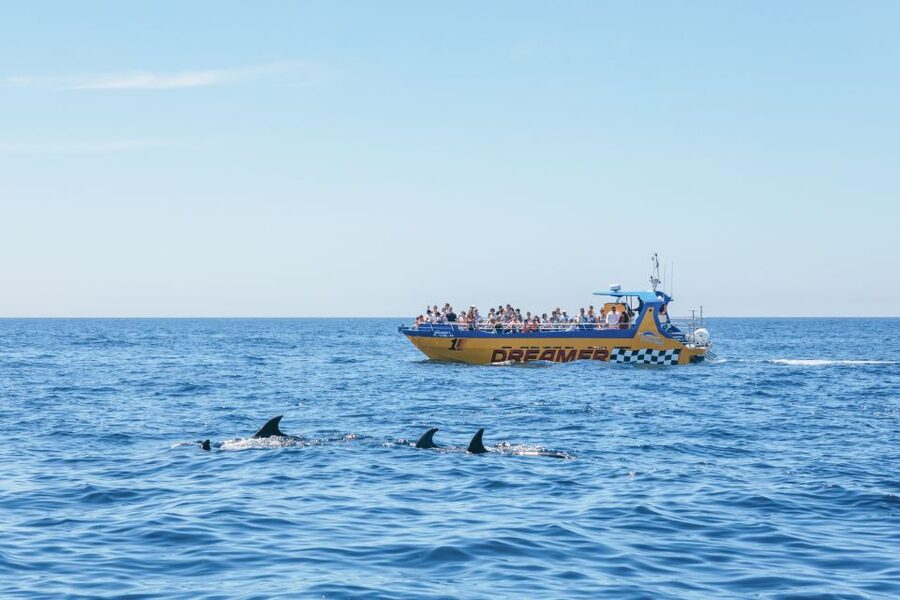Albufeira: 2.5-Hour Benagil Caves & Dolphin Watching - The dolphin search is the real wildcard