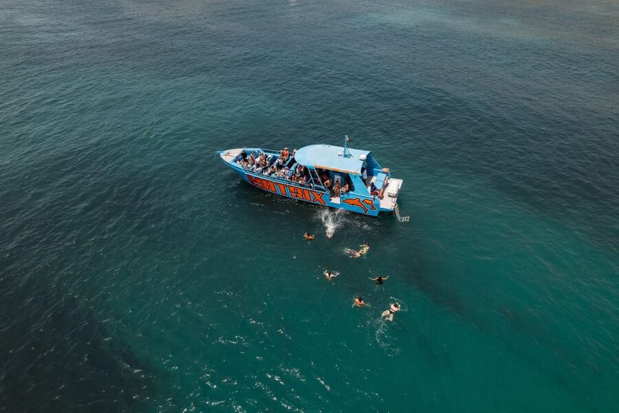Albufeira: 2.5-Hour Dolphin Watching and Caves Trip - Who should book this Albufeira boat trip?