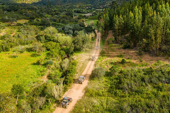 Albufeira: 3-Hour Off-Road Buggy Tour to Hidden Algarve Trails - How much driving time will you get?