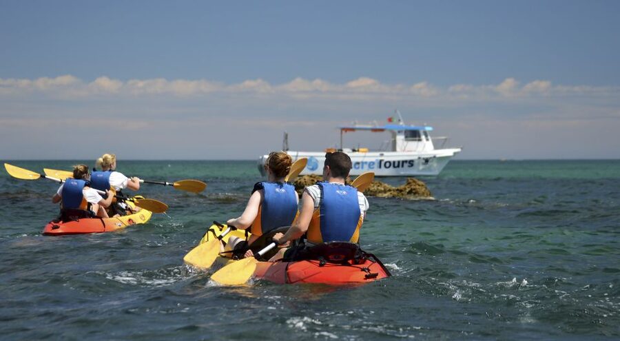 Albufeira: Algarve Kayak and Coastline Tour - From Albufeira Marina to Praia do Castelo