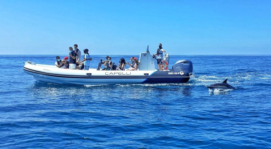 Albufeira: Benagil Cave and Dolphin Sightseeing Boat Cruise - A fast ride past Albufeira’s western beaches