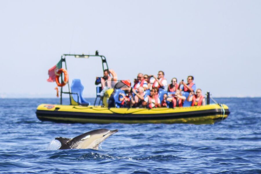 Albufeira: Benagil Caves & Dolphin Watching Speed Boat Tour - Key points before you book