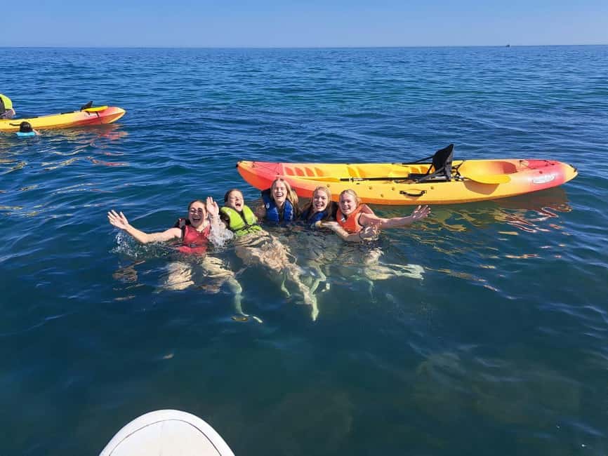 Albufeira: Caves and Cliffs Kayaking Tour - The beaches at Arrifes and Salamitras