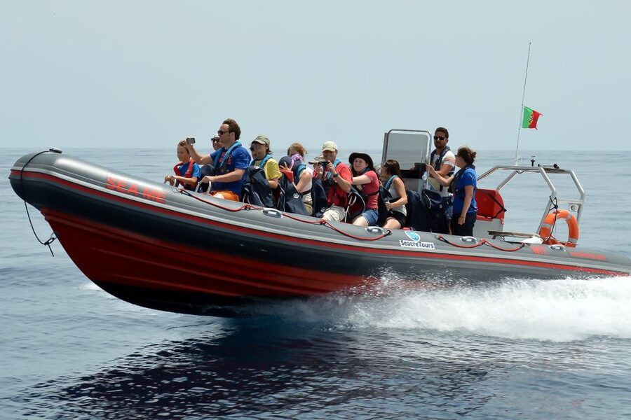 Albufeira: Dolphin Watching and Benagil Cave Boat Cruise - The caves, cliffs, beaches, and Alfanzina Lighthouse