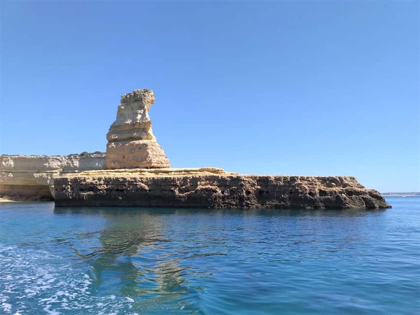 Albufeira: Dolphin Watching and Benagil Cave Boat Cruise - The swim stop depends on the sea