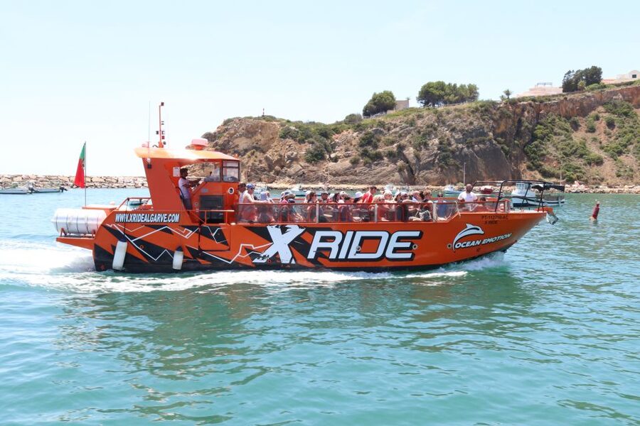 Albufeira: Dolphin Watching and Benagil Cave - Watching for dolphins off the Algarve
