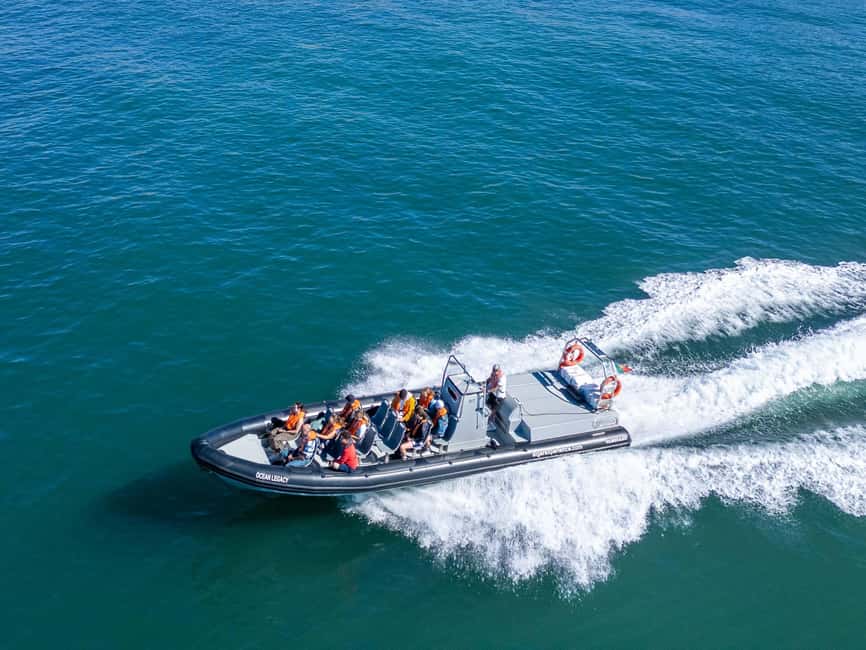 Albufeira: Dolphins, Benagil Caves and Coastline Boat Tour - Key points at a glance