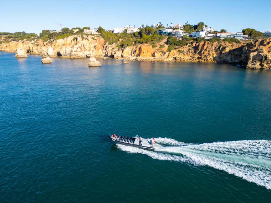 Albufeira: Dolphins, Benagil Caves and Coastline Boat Tour - Searching for common and bottlenose dolphins