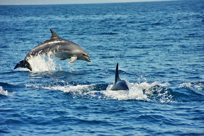 Albufeira Dreamer Boat Trip - Praia da Marinha and Alfanzina Lighthouse
