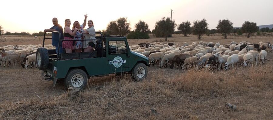 Albufeira: Jeep Safari Half-Day Countryside Tour - Quick reasons to consider this countryside jeep tour