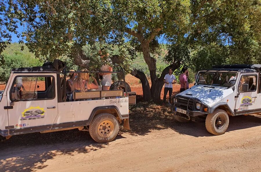 Albufeira: Safari Excursion in the Algarve Mountains - Who should book this tour?