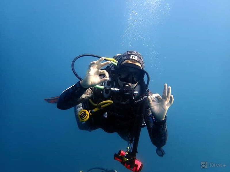 Albufeira: Scuba Diving Experience for Beginners - How the experience compares with a full scuba course