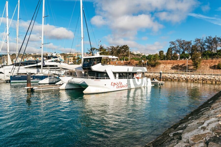 Albufeira: Sightseeing Cruise with Beach BBQ and Open Bar - Who should book this six-hour cruise?