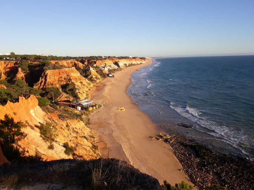 Albufeira: Tuk-tuk Sightseeing Tour - Starting downtown among Albufeira’s old and new sides