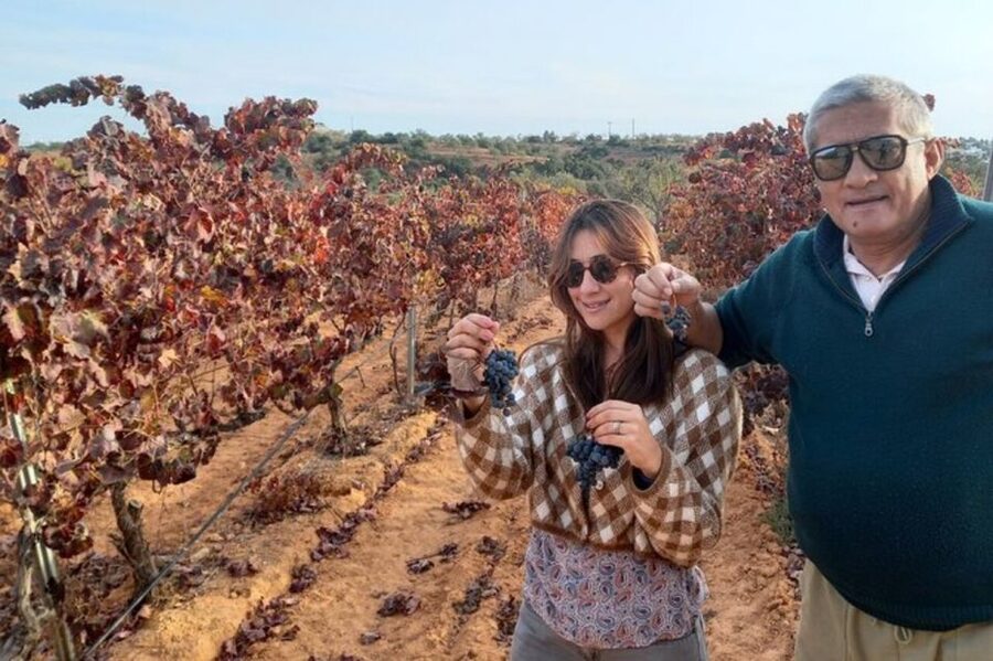 Albufeira/Vilamoura: Winery Tour with Wine Tasting and Tapas - Why this Algarve wine tour works well