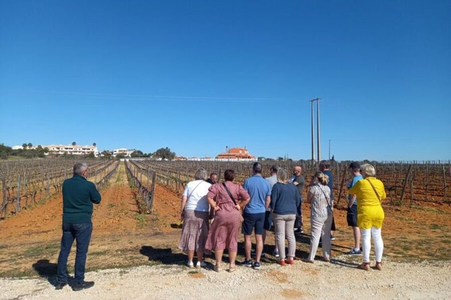 Albufeira/Vilamoura: Winery Tour with Wine Tasting and Tapas - The pastry and firewater finish