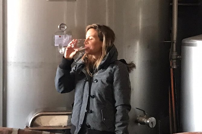 Albufeira Wine Tasting: Boutique Winery Tour & Historic Silves - Inside the working winery