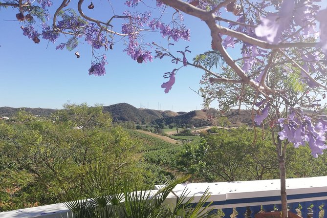 Albufeira Wine Tasting: Boutique Winery Tour & Historic Silves - Who will enjoy this tour most