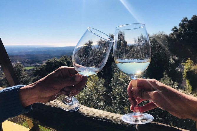 Albufeira Wine Tour: 2 Vineyards, 6 Tastings & Historic Silves - Paxá Wines and the Algarve’s own grape varieties