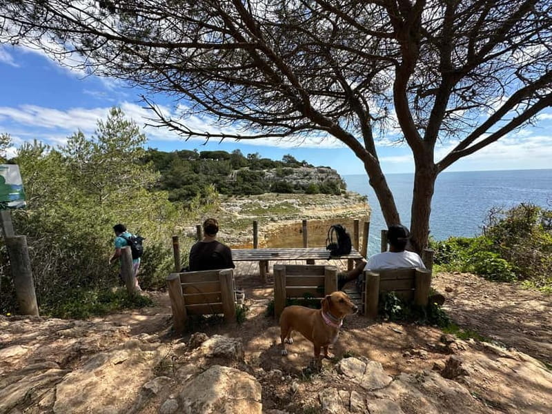 Algarve: 7 Seven Hanging Valley Hike Tour- Photos & Transfer - Five things to know before you go