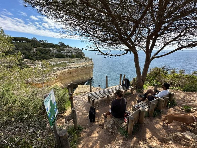 Algarve: 7 Seven Hanging Valley Hike Tour- Photos & Transfer - Starting at Vale Centeanes Beach