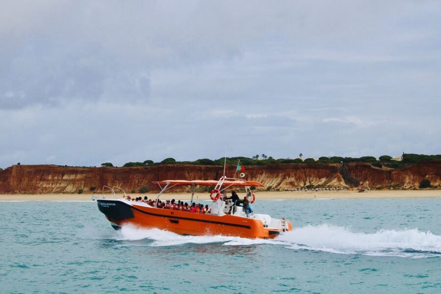 Algarve: Benagil Caves Open Speedboat Tour - Looking for dolphins without false promises